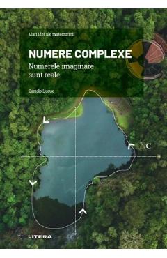 Carte Mari idei ale matematicii. Numere complexe - Bartolo Luque editura Bartolo Luque