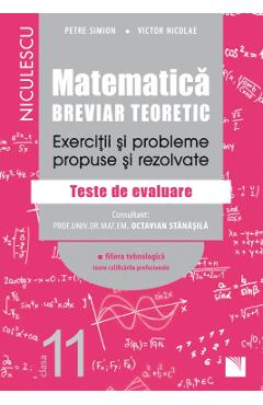 Carte Matematica - Clasa 11 - Breviar teoretic (filiera tehnologica) - Petre Simion editura Victor Nicolae