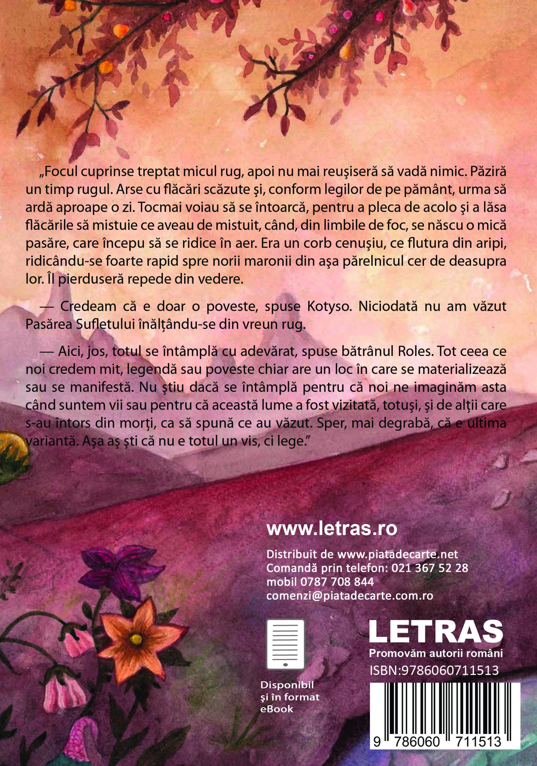 Carte Micul Solomonar autor A. E. Miron editura Letras