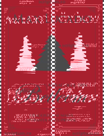 Carte Miracolul din Betleem editura Scriptum