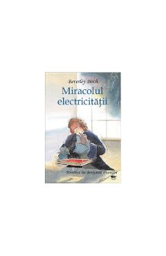 Carte Miracolul electricitatii. Povestea lui Benjamin Franklin - Beverley Birch editura -