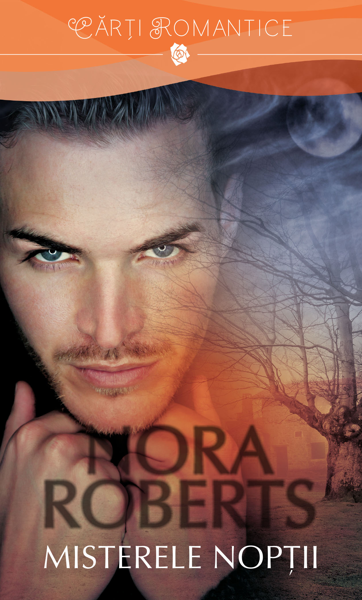 Carte Misterele nopții editura Litera