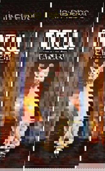 Carte Mitul felinelor editura Fundatia culturala Ideea Europeana