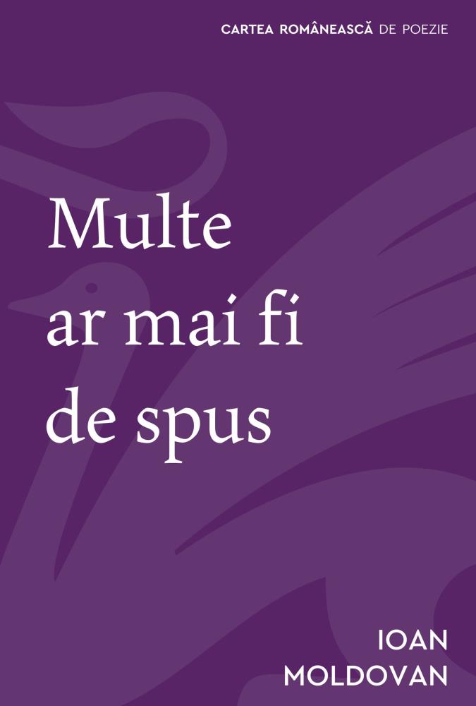 Carte Multe ar mai fi de spus editura Grupul Art
