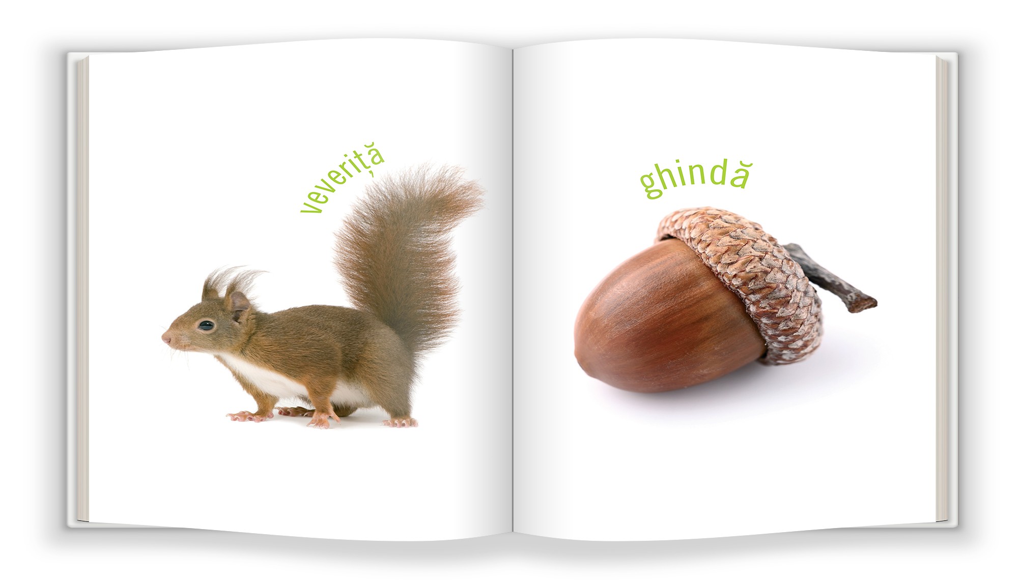 Carte Natura   editura Gama