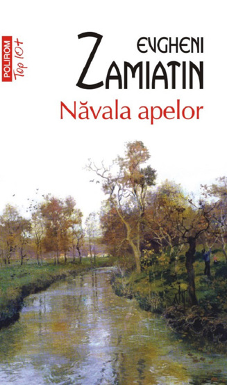 Carte Navala apelor editura Polirom