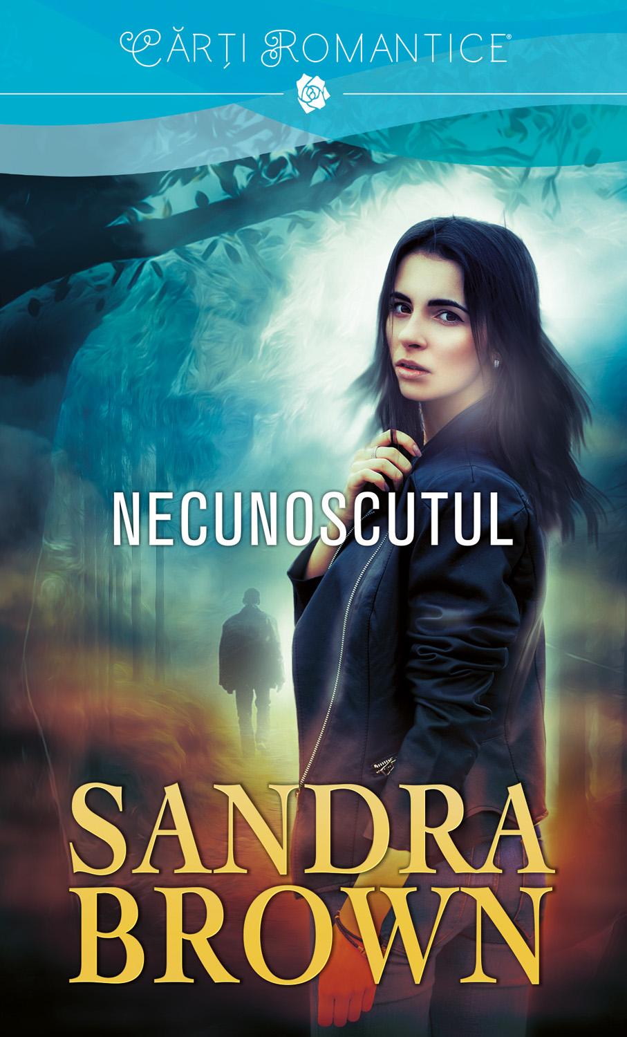 Carte Necunoscutul editura Litera