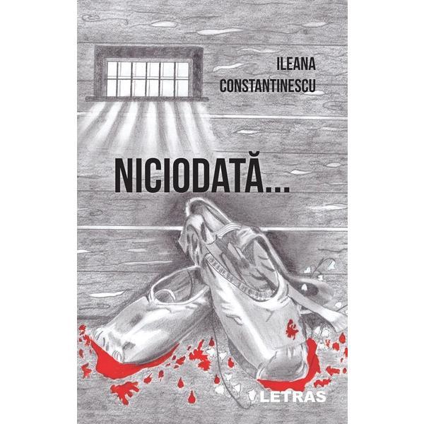 Carte Niciodata - Ileana Constantinescu