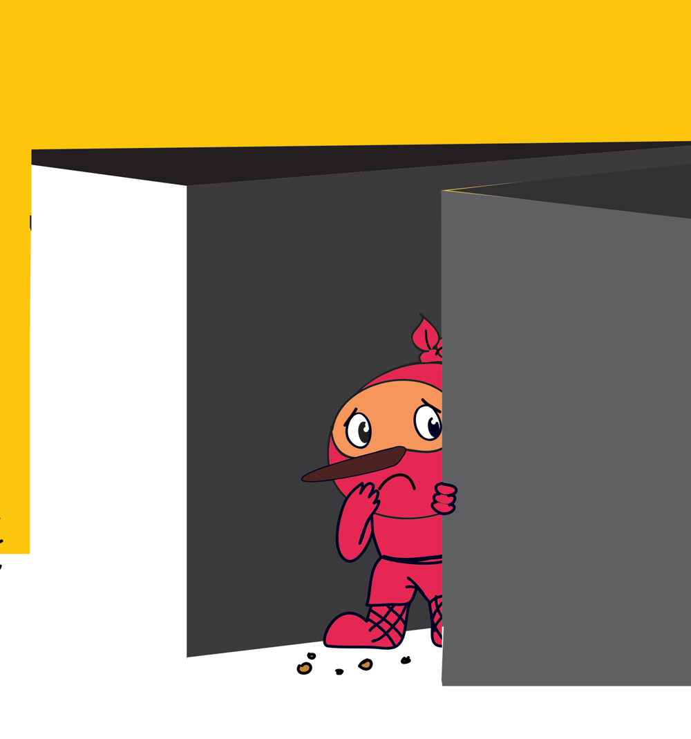 Carte Ninja cel Mincinos autor Mary Nhin editura ACT si Politon