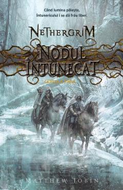Carte Nodul intunecat. Seria Nethergrim. Vol.3 - Matthew Jobin editura Matthew Jobin