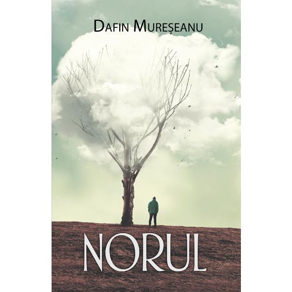 Carte Norul - Dafin Mureseanu