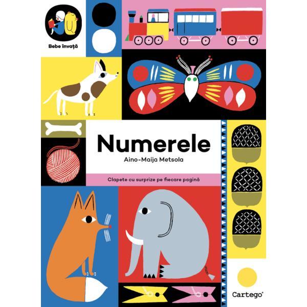 Carte Numerele - Aino-Maija Metsola