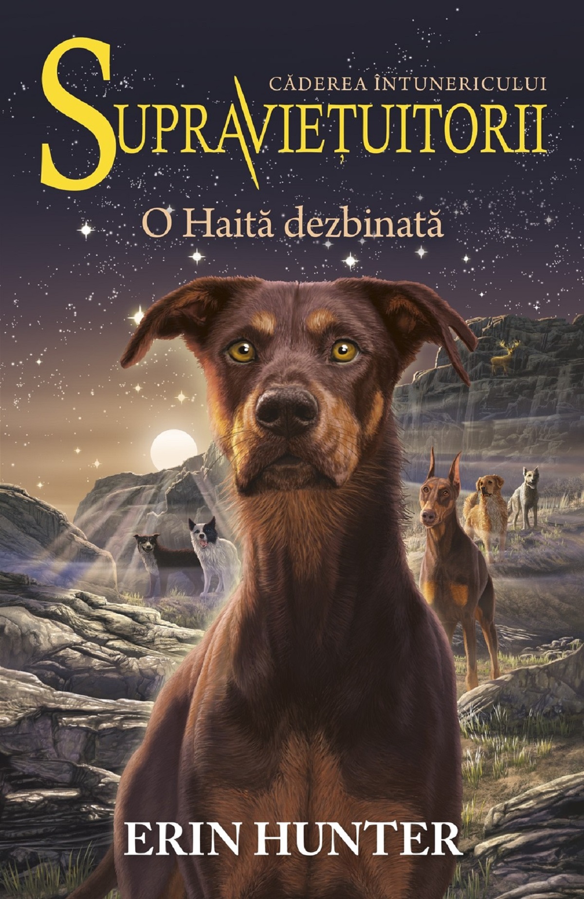 Carte O Haita dezbinata autor Erin Hunter editura ALL