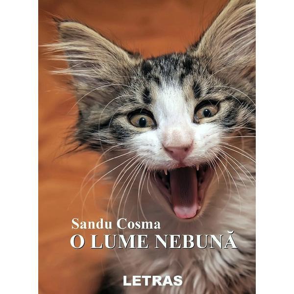 Carte O lume nebuna - Sandu Cosma