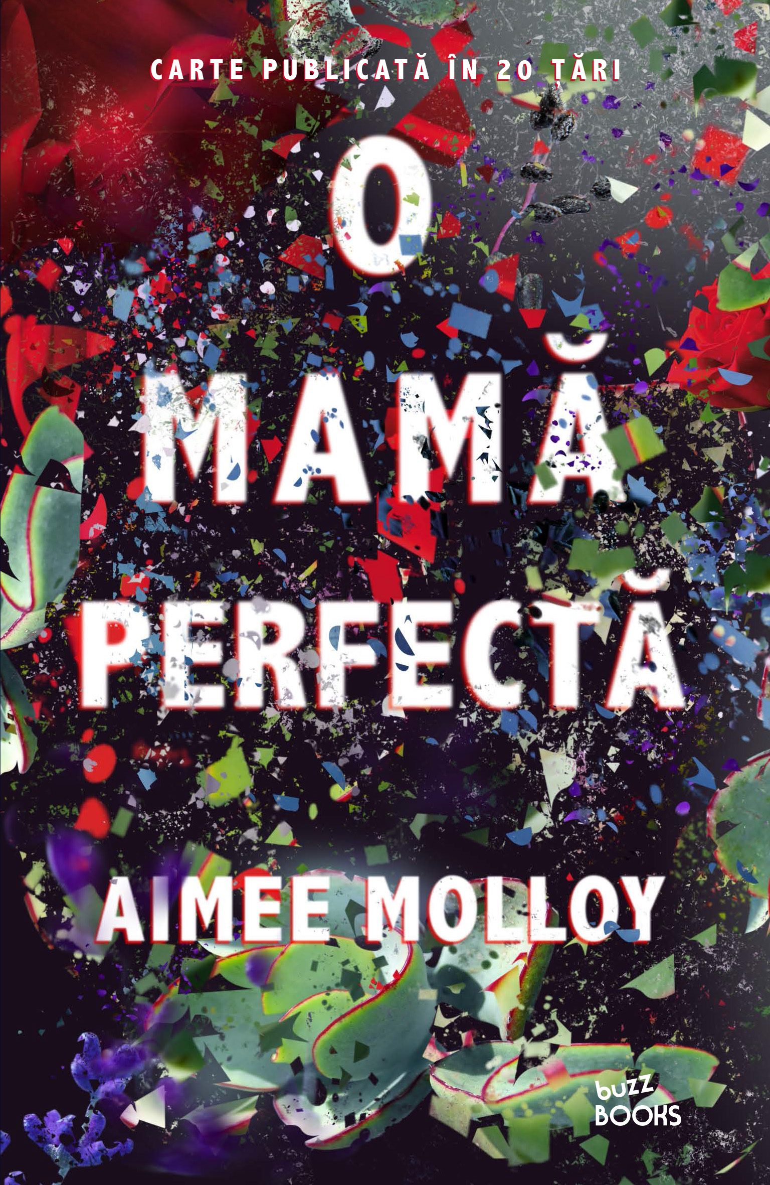 Carte O mamă perfectă editura Litera