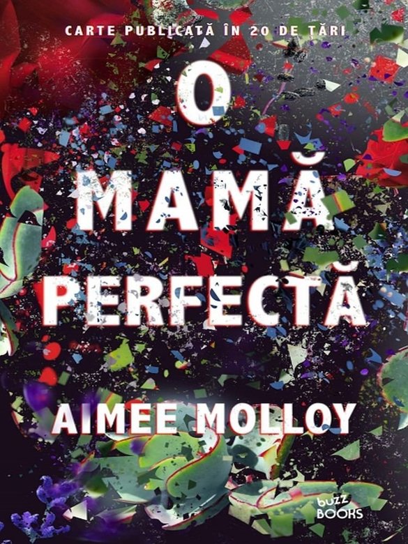 Carte O mama perfecta autor Aimee Molloy editura Litera