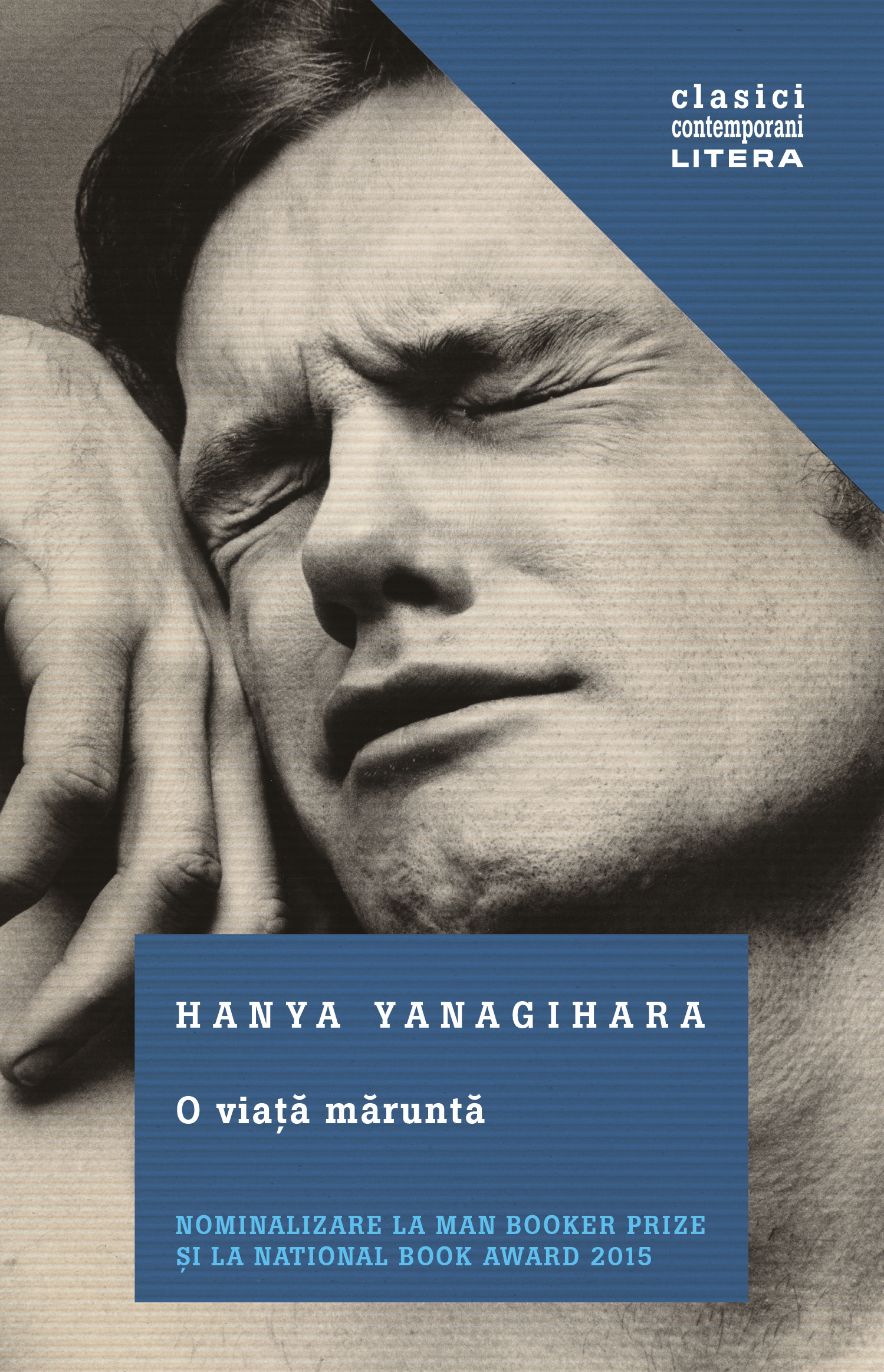 Carte O viață măruntă editura Litera