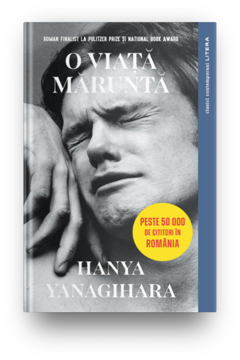 Carte O viata marunta editura Litera