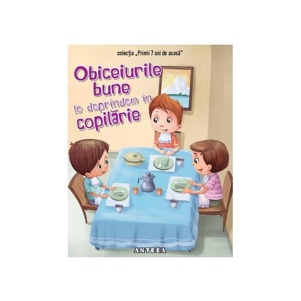 Carte Obiceiurile bune le deprindem in copilarie