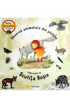 Carte Observa animalele din padure impreuna cu Scufita Rosie - Jana Sediackova
