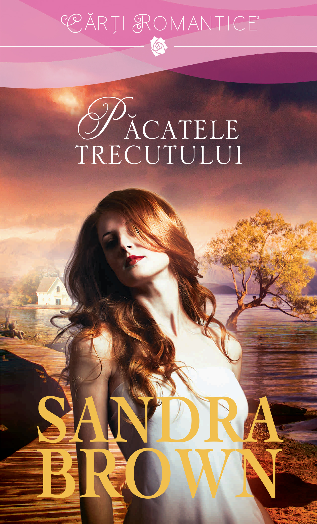 Carte Păcatele trecutului editura Litera