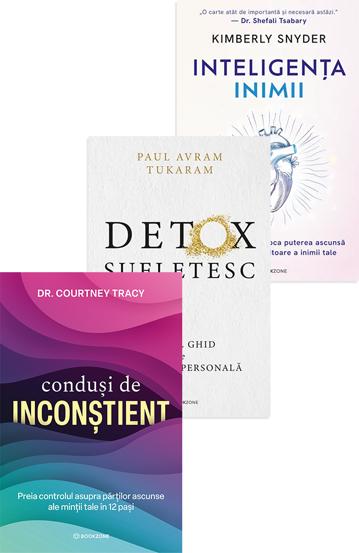 Carte Pachet Acceptare si vindecare editura Bookzone