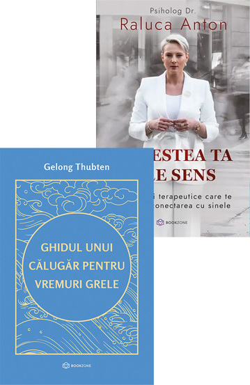 Carte Pachet Când liniștea are sens editura Bookzone