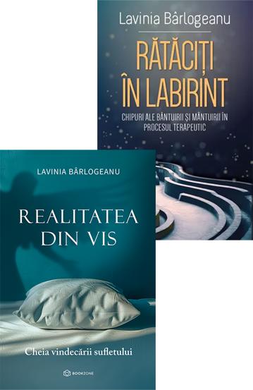 Carte Pachet Lavinia Bârlogeanu editura Altele