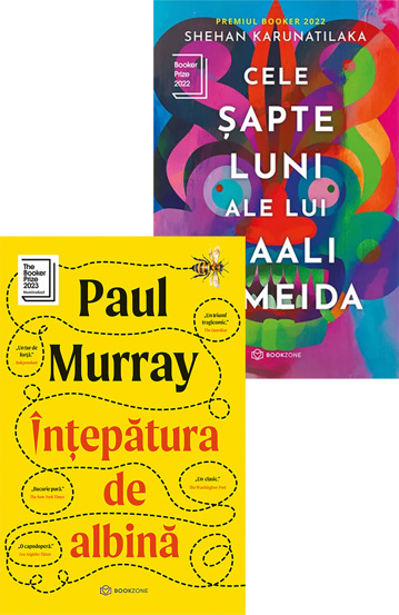 Carte Pachet Momentul critic editura Bookzone