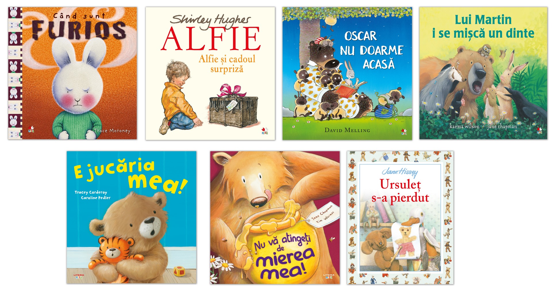 Carte Pachet Picture Book editura Litera