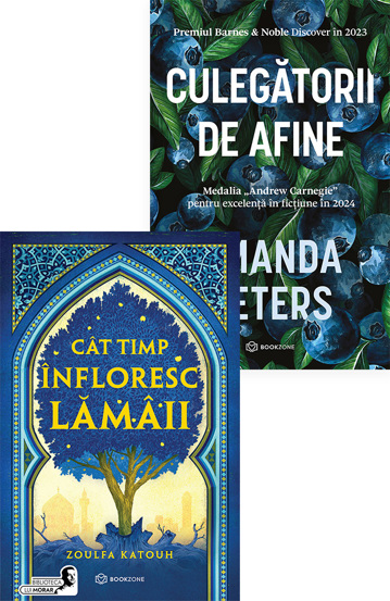 Carte Pachet Povesti de regăsire editura Bookzone