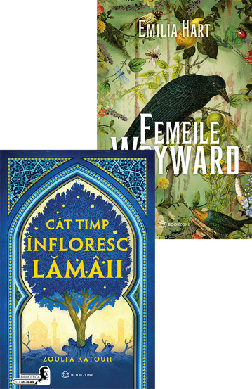 Carte Pachet Rezistența feminină editura Bookzone