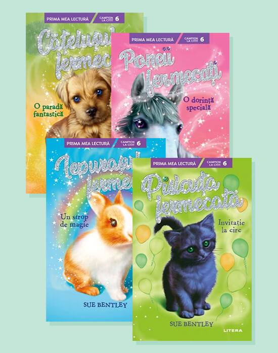 Carte Pachet Sue Bentley editura Litera