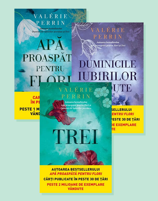 Carte Pachet Valerie Perrin editura Litera