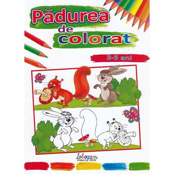 Carte Padurea de colorat 3-5 ani