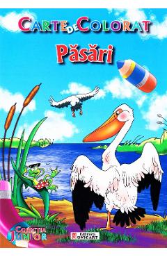 Carte Pasari - Carte de colorat editura -