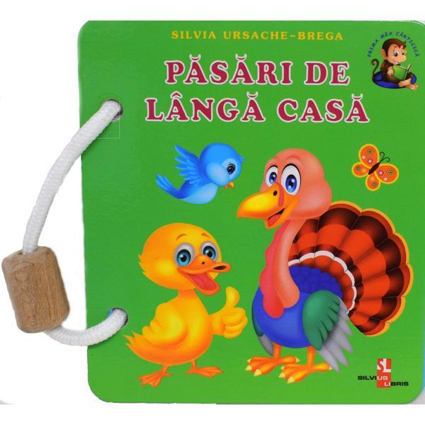 Carte Pasari de langa casa - silvia ursache-brega
