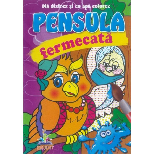 Carte Pensula fermecata. Ma distrez si cu apa colorez. Bufnita