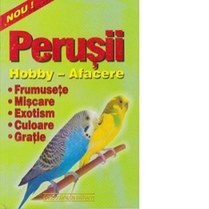 Carte Perusii - hobby