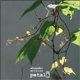 Carte Petala autor Alexandru Andries editura Vellant