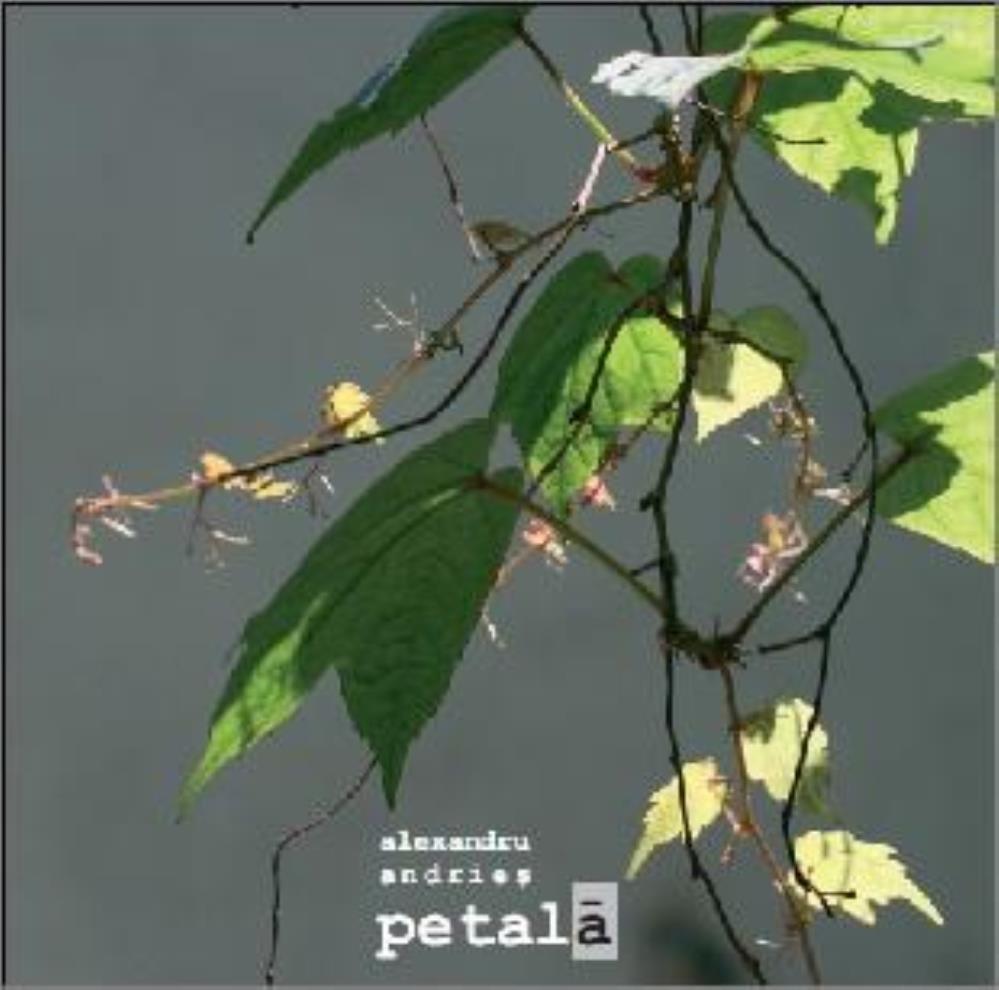 Carte Petala (carte) editura Vellant