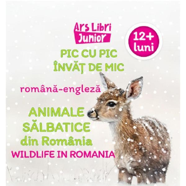 Carte Pic cu pic invat de mic: Animale salbatice din Romania. Editie bilingva