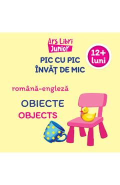 Carte Pic cu pic invat de mic: Obiecte. Editie bilingva editura -