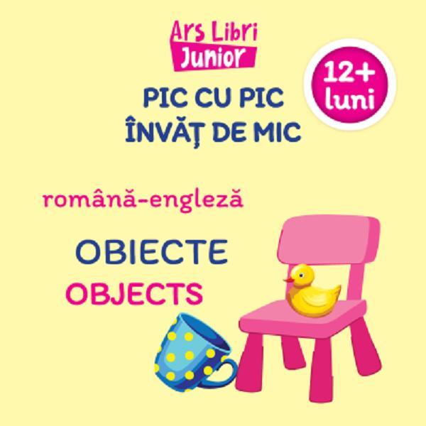 Carte Pic cu pic invat de mic: Obiecte. Editie bilingva