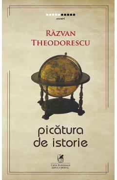 Carte Picatura de istorie - Razvan Theodorescu editura Razvan Theodorescu