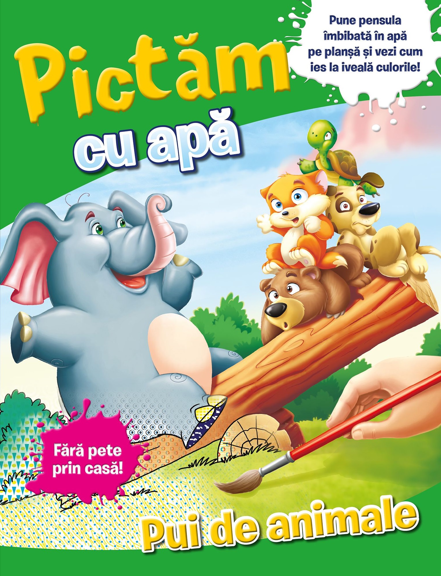 Carte Pictam cu apa. Pui de animale   editura Litera