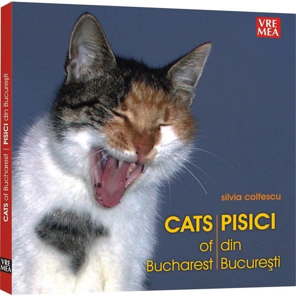 Carte Pisici din bucuresti - Silvia Colfescu
