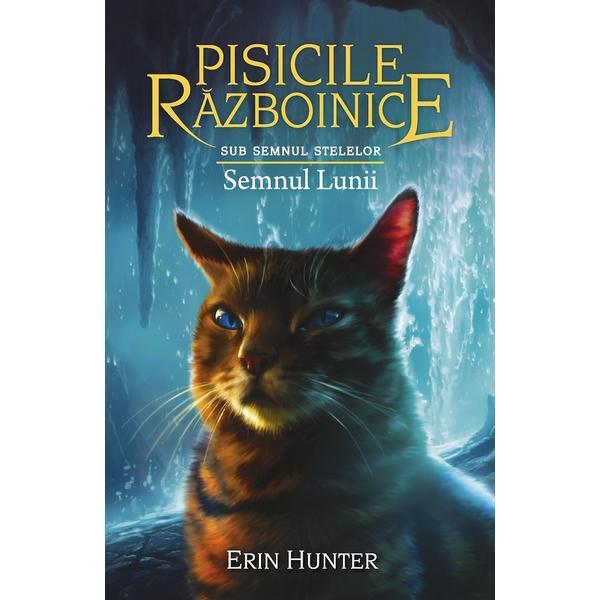 Carte Pisicile razboinice Vol.22: Semnele lunii - Erin Hunter