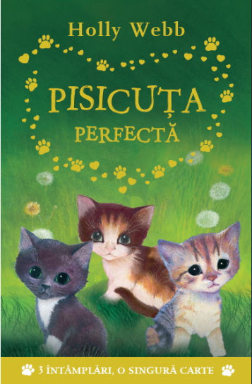 Carte Pisicuța perfectă editura Litera