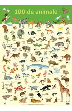 Carte Plansa: 100 de animale editura -